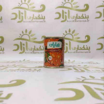 کنسرو لوبیا چیتی هایلی