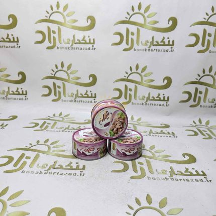 کنسرو ماهی تن شیلانه 180 گرمی