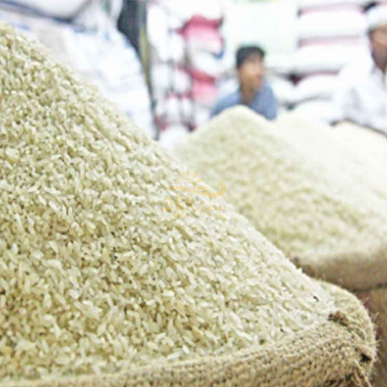 راهنمای کامل خرید برنج ایرانی و خارجی